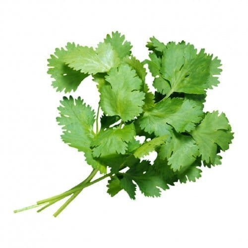 1000071789.jpg كزبرة - حزمة - الصورة 1